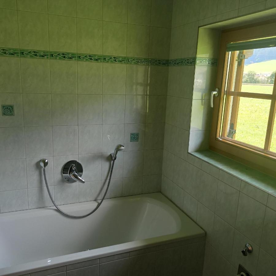 Ferienwohnung Zillertaler Alpenblick ツェル・アム・ツィラー エクステリア 写真